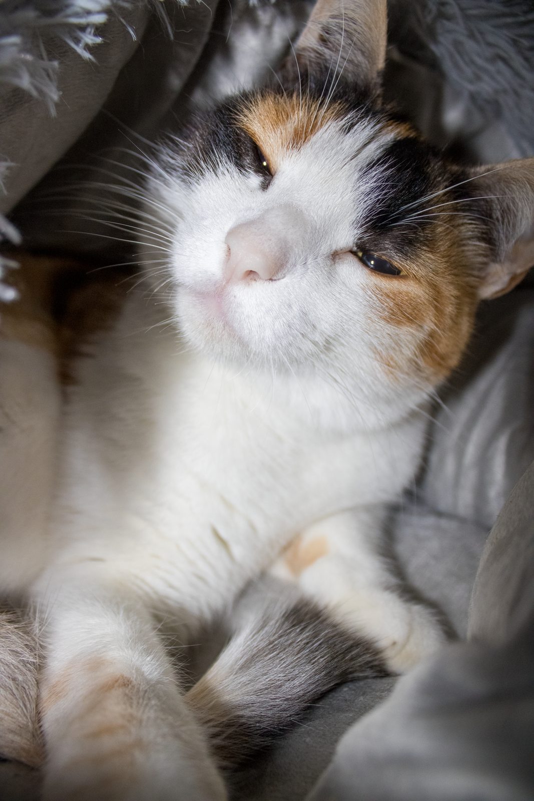 Animals — img-4398.jpg