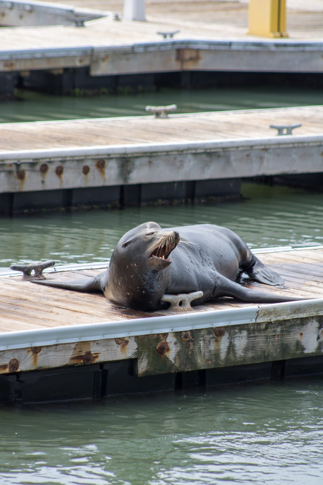 Animals — img-5640.jpg