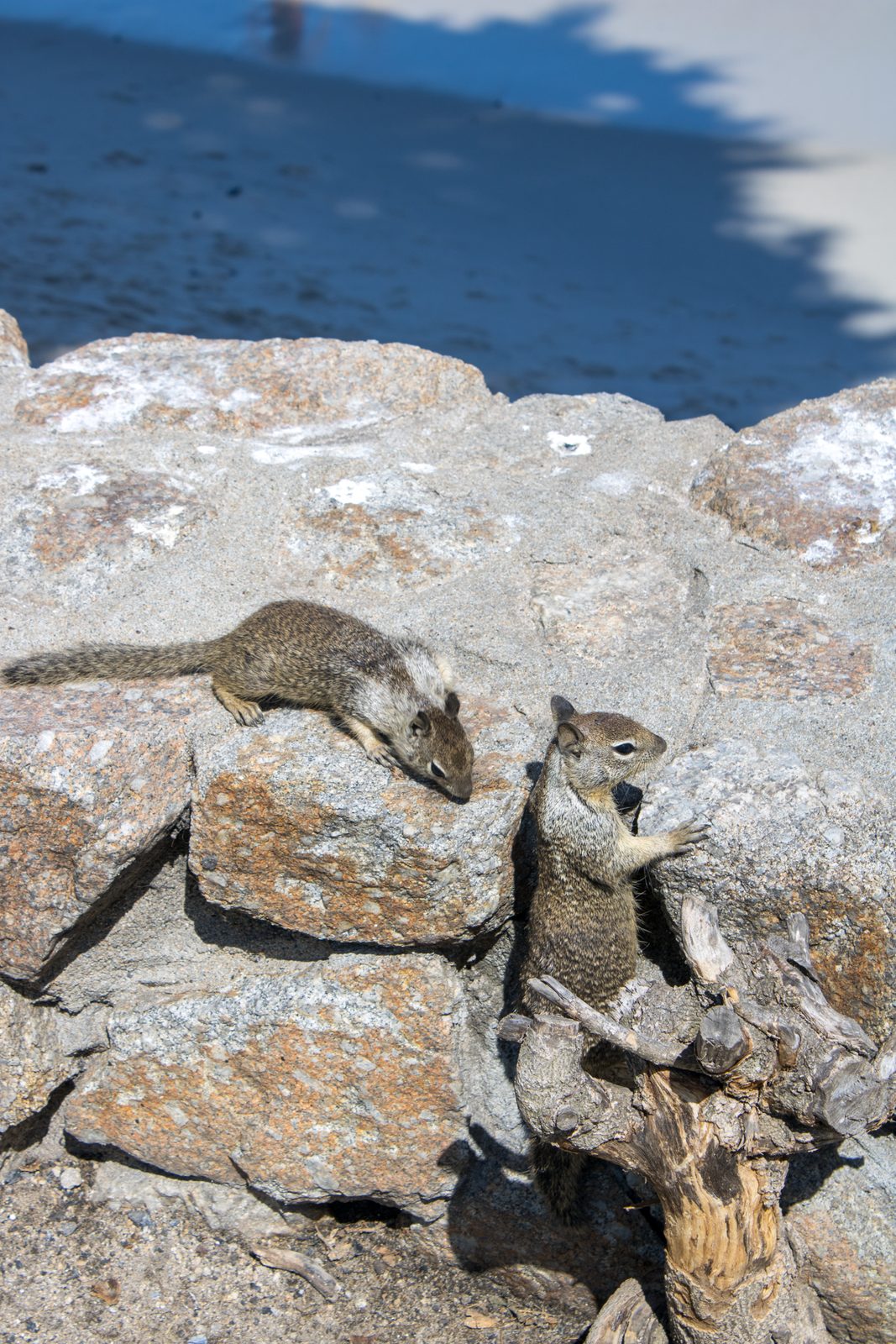 Animals — img-5690.jpg