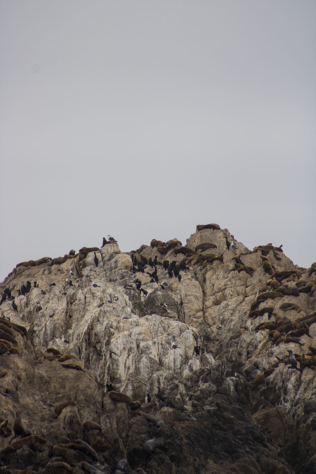 Animals — img-5697.jpg