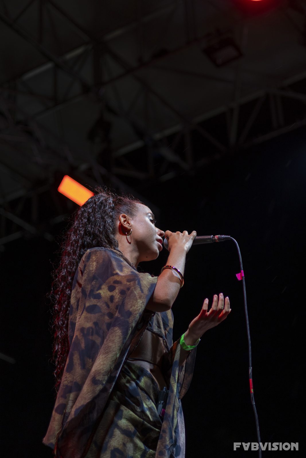 Concerts — img-8342-edit.jpg
