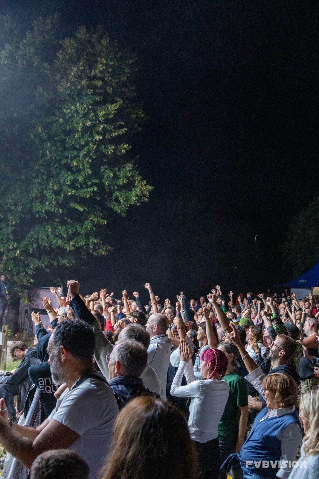 Concerts — img-9462-edit.jpg
