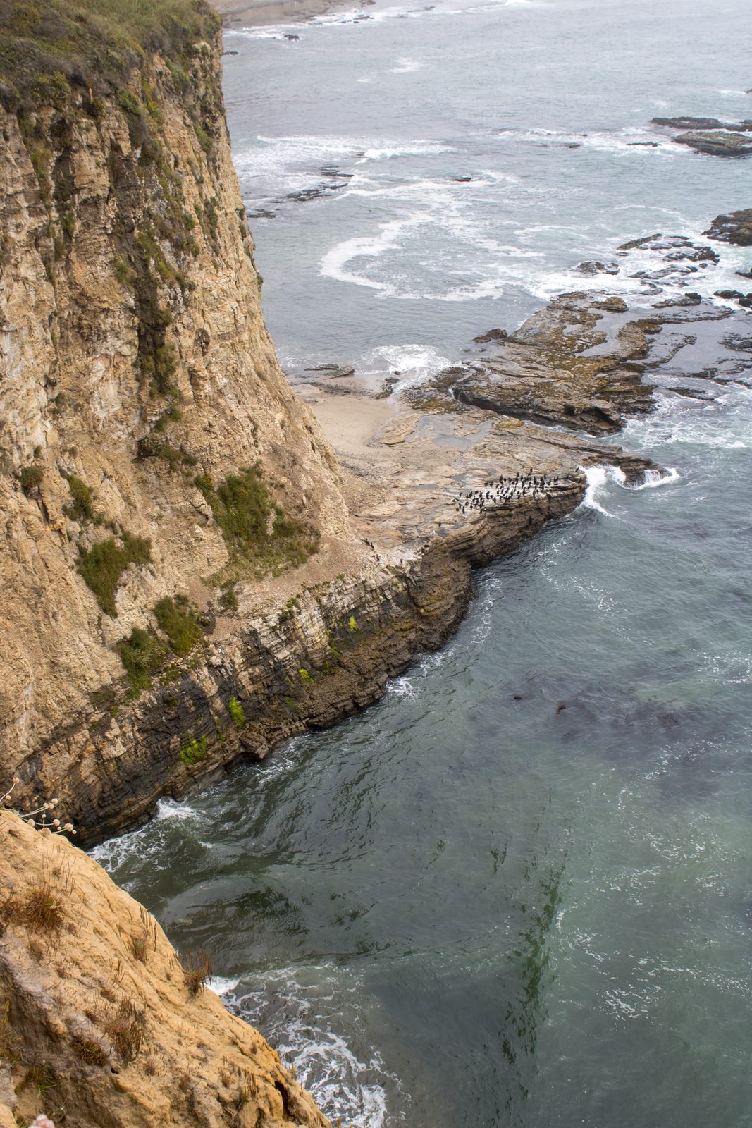 Landscape — img-5662.jpg