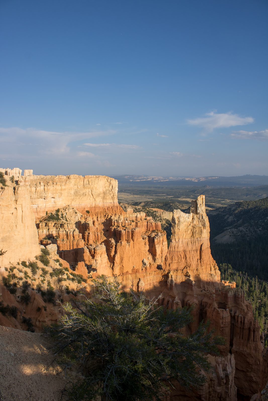 Landscape — img-5888.jpg
