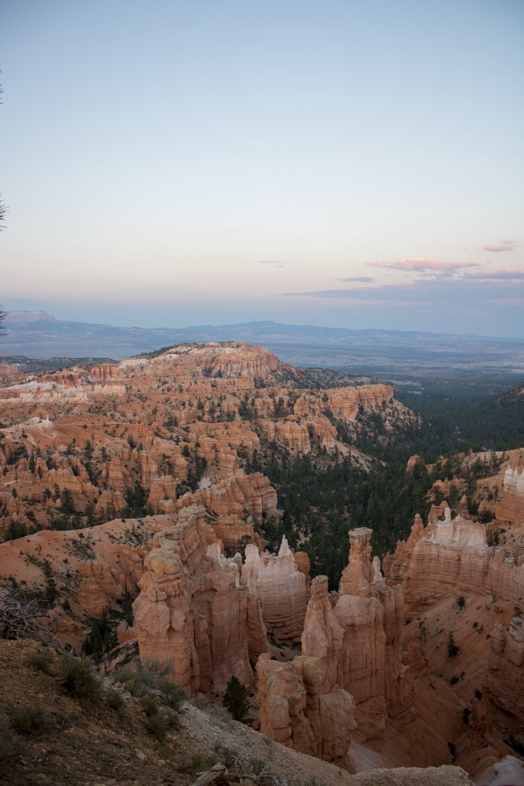 Landscape — img-5889.jpg