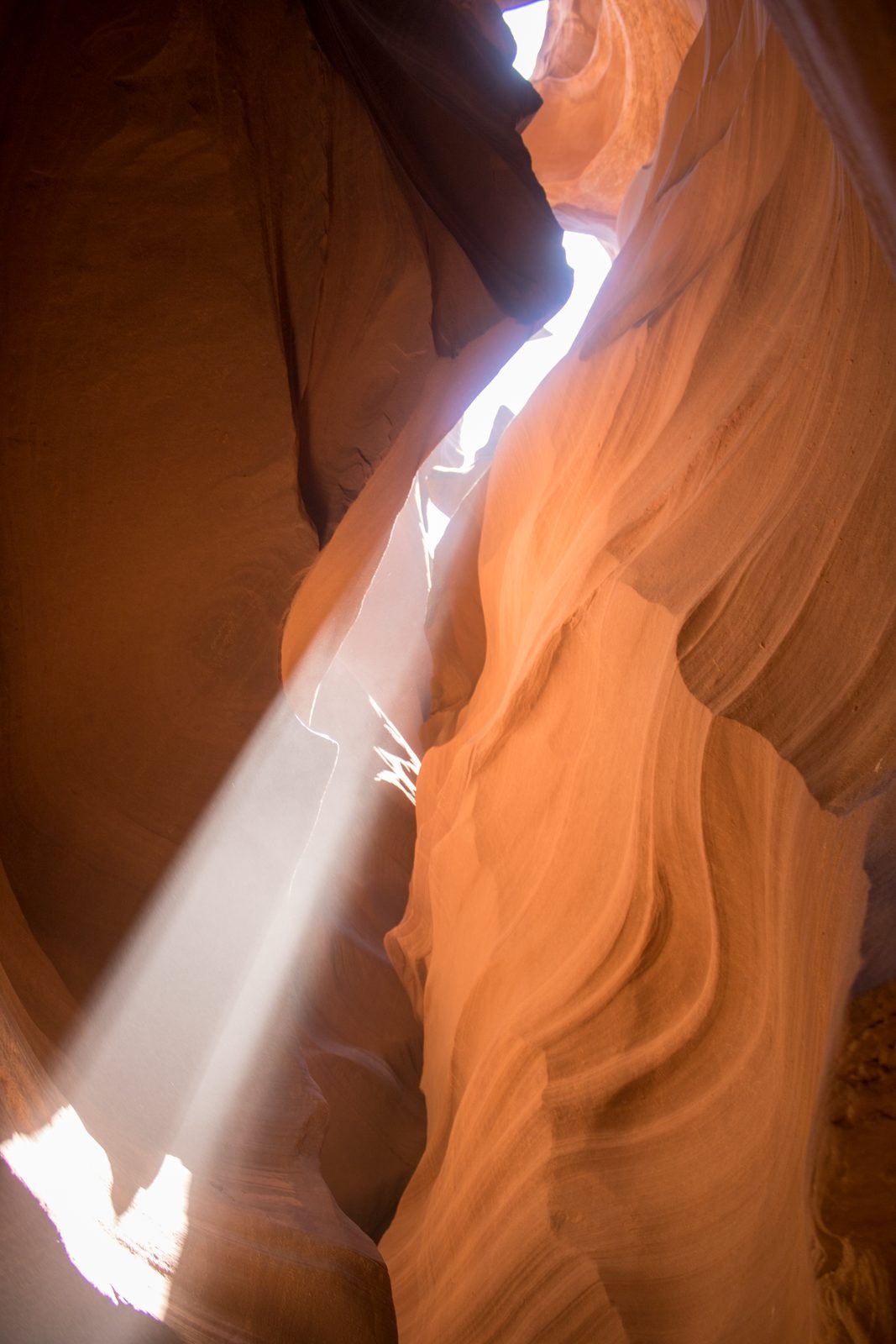 Landscape — img-5929.jpg