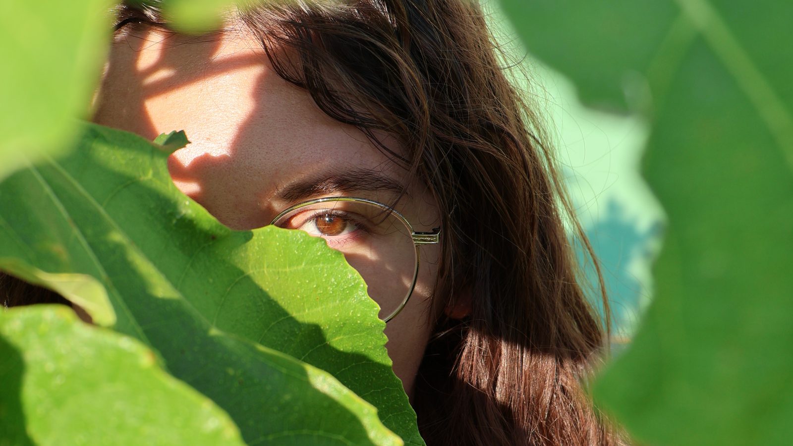 Portrait — copertina